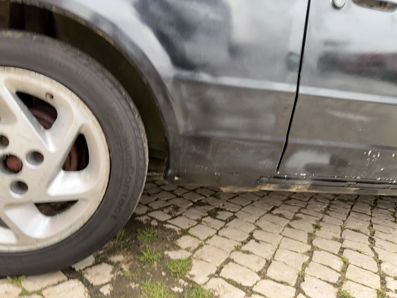 IMG_1318 – grande.jpeg