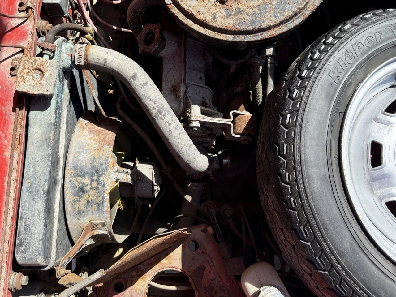 IMG_2291 – grande.jpeg