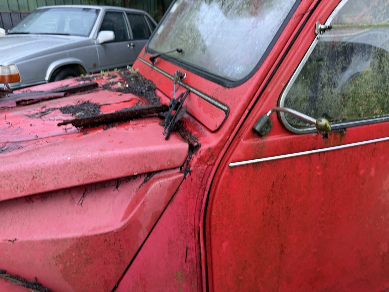 IMG_5489 – grande.jpeg