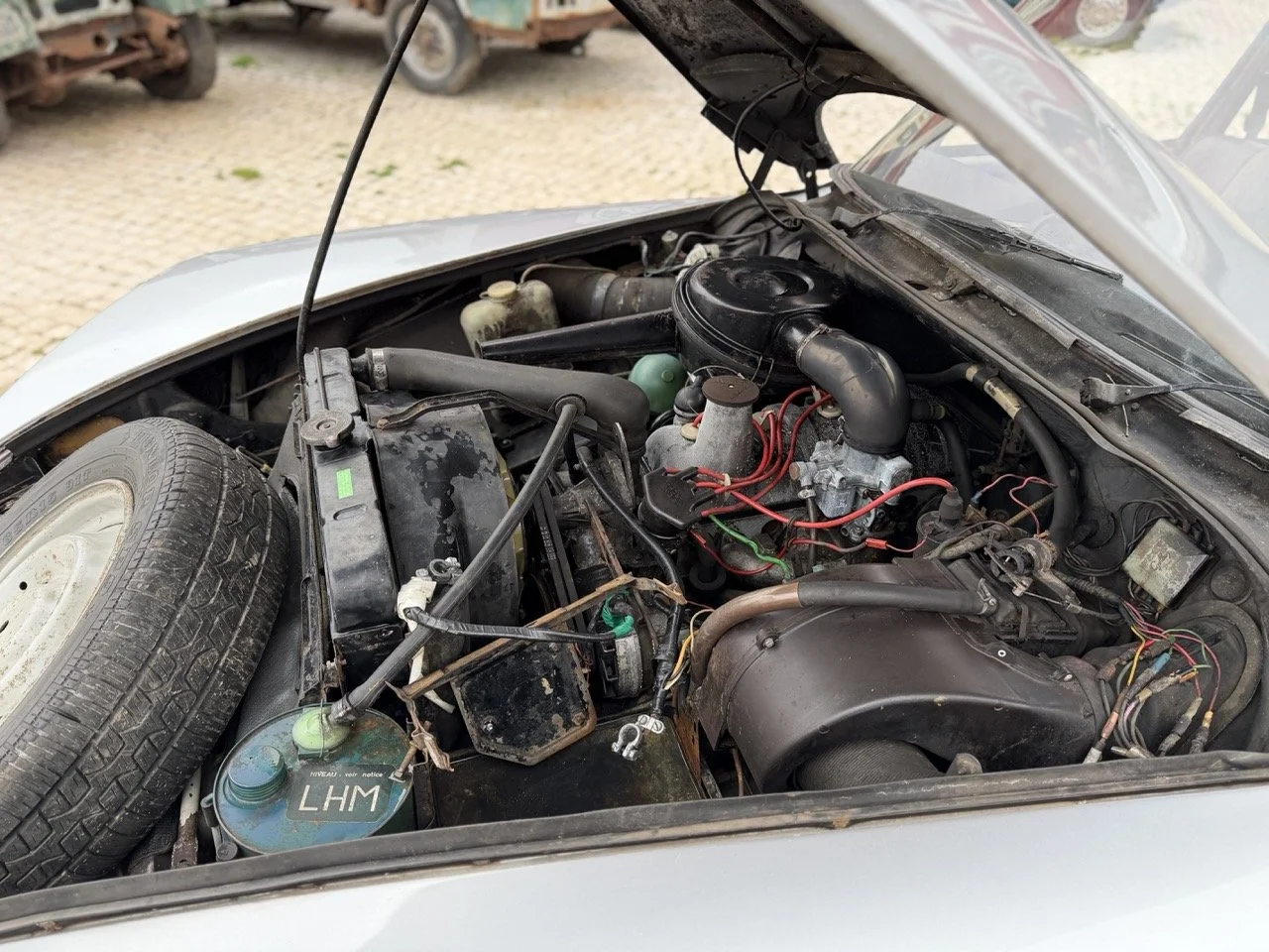 IMG_3728 – grande.jpeg