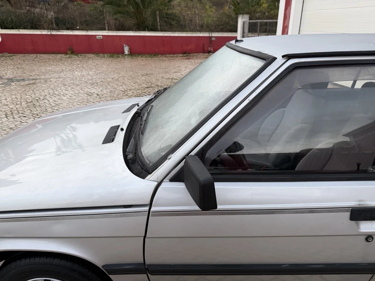 IMG_4754 3 – grande.jpeg