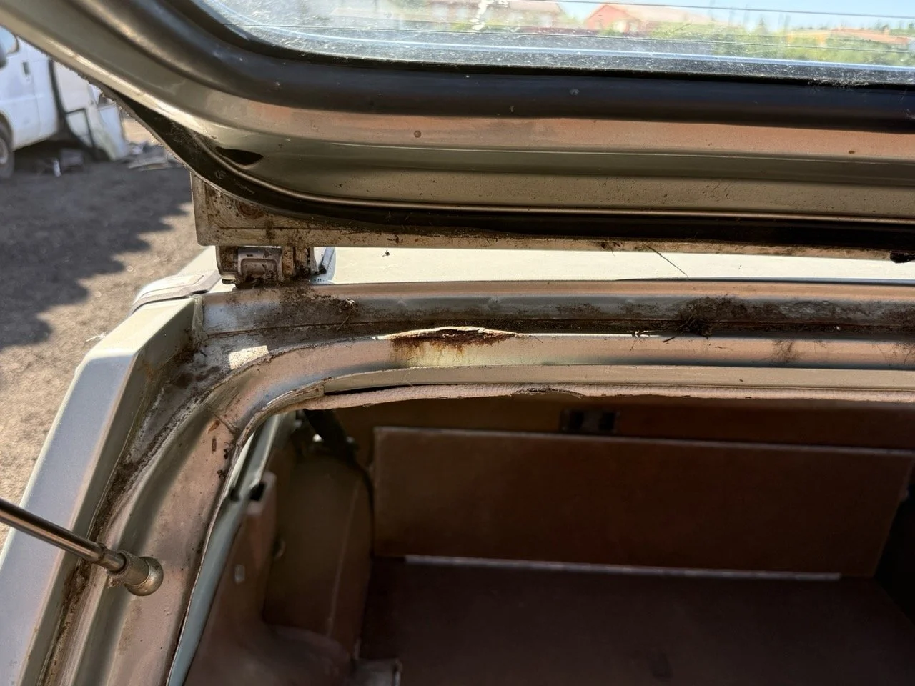 IMG_1195 – grande.jpeg