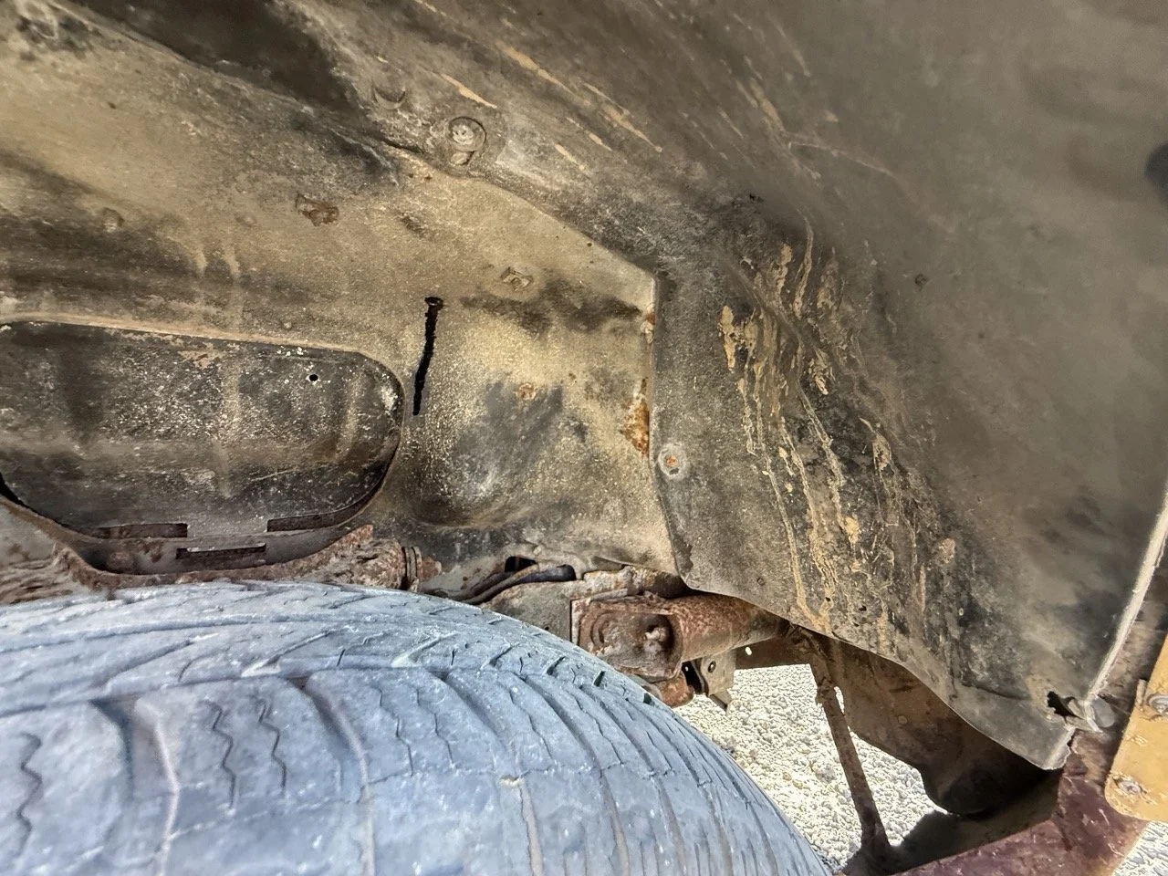 IMG_3063 – grande.jpeg