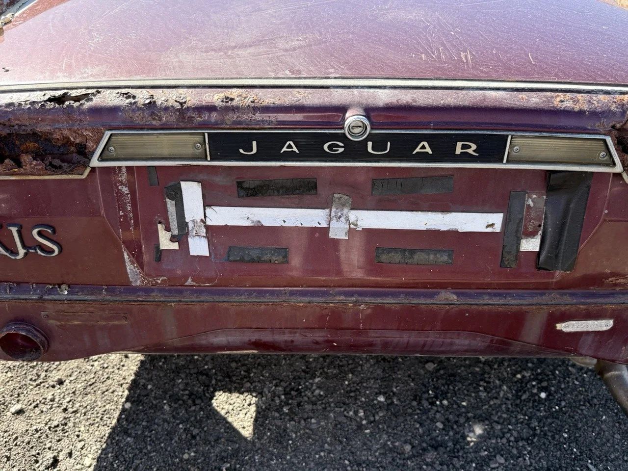 IMG_2996 – grande.jpeg