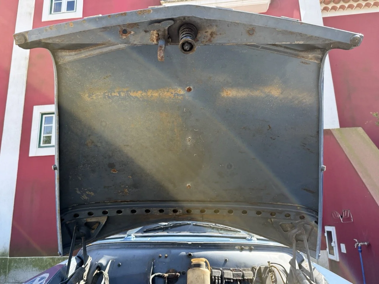 IMG_3522 – grande.jpeg