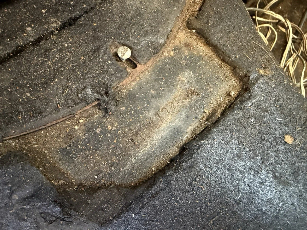 IMG_7540 – grande.jpeg