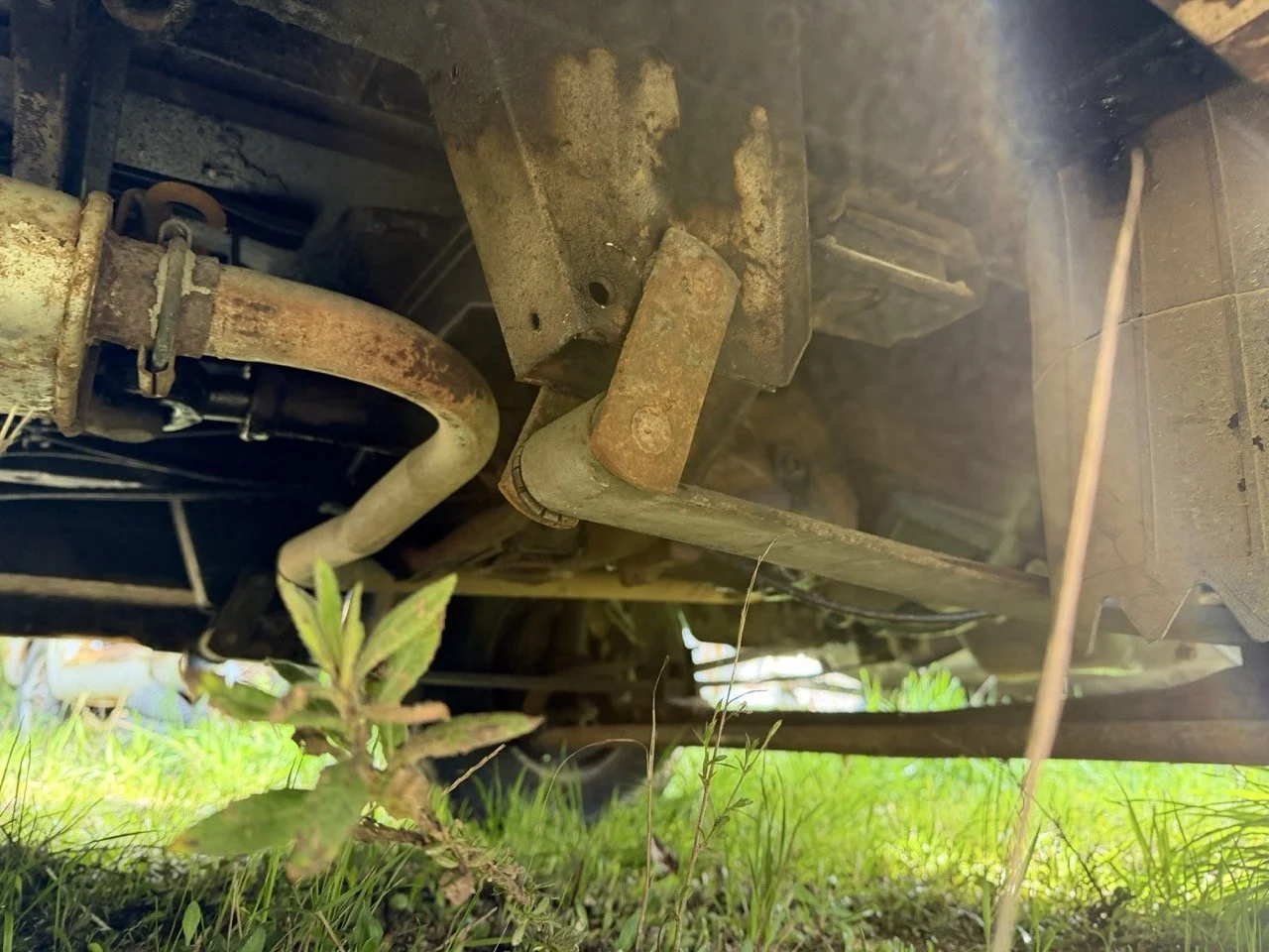 IMG_3898 – grande.jpeg