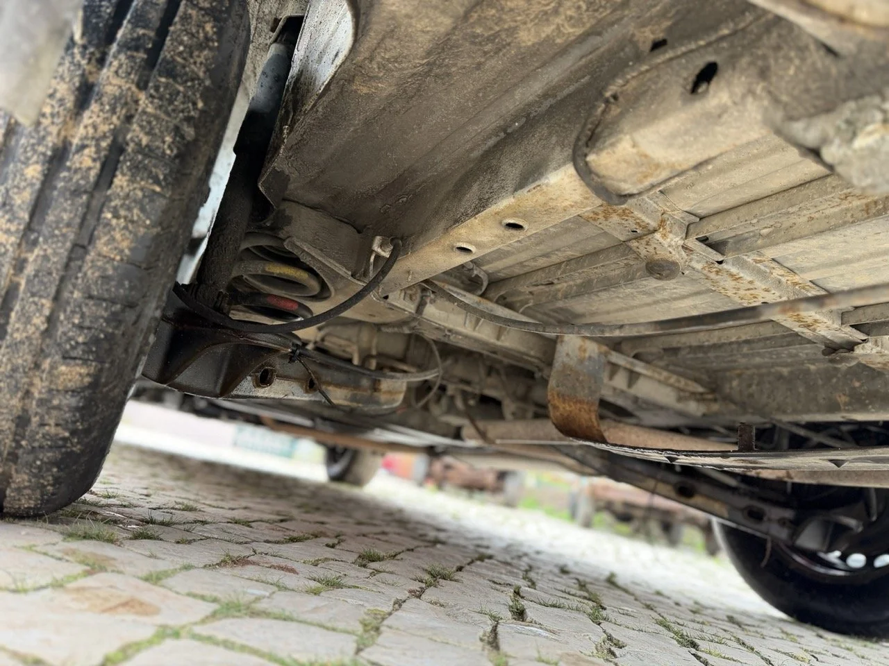 IMG_9574 – grande.jpeg