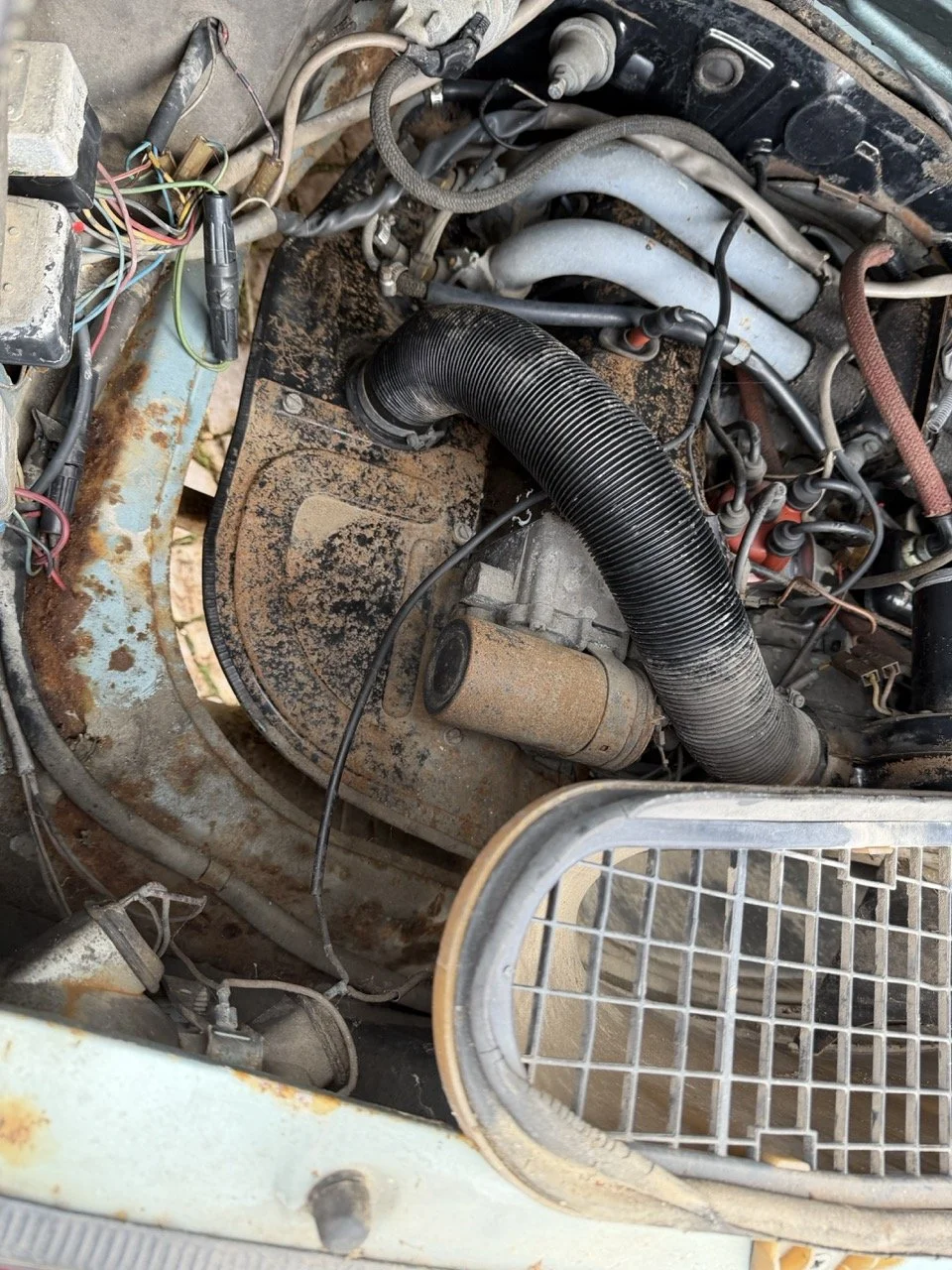 IMG_4798 – grande.jpeg