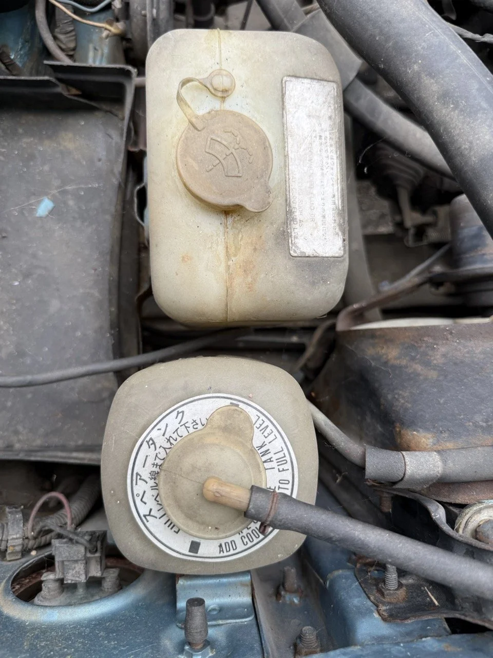 IMG_1519 – grande.jpeg