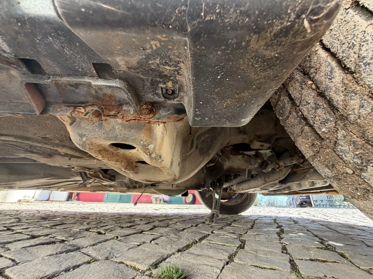 IMG_2823 – grande.jpeg