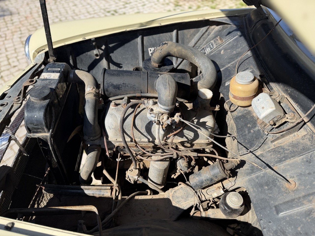 IMG_6663 – grande.jpeg