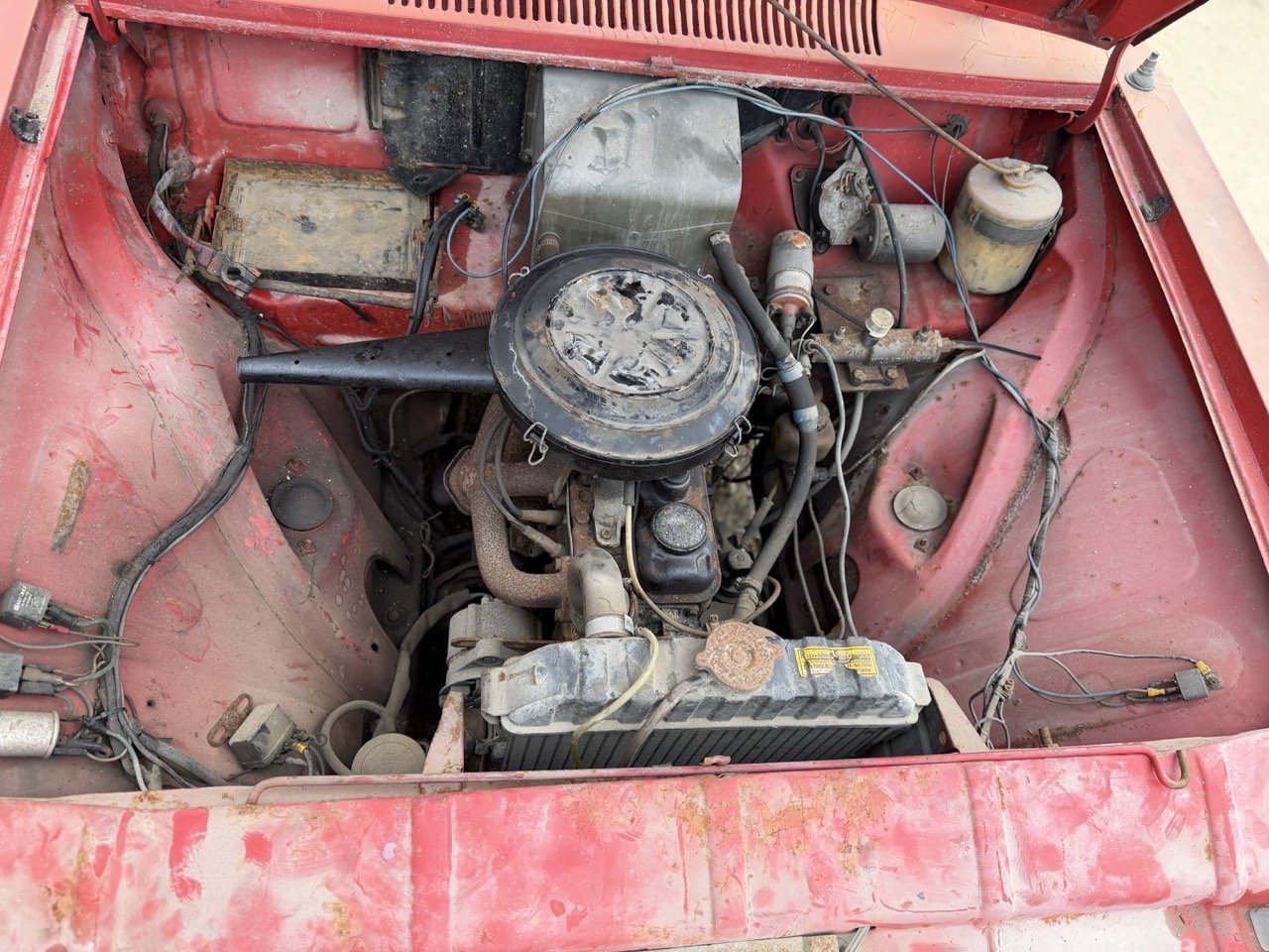 IMG_4975 – grande.jpeg