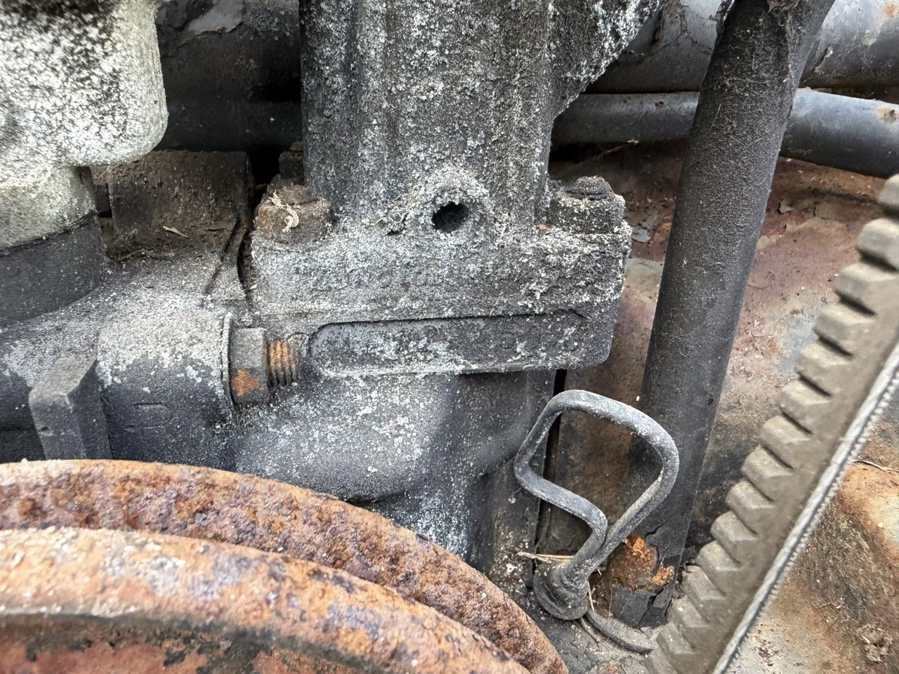 IMG_8572 – grande.jpeg