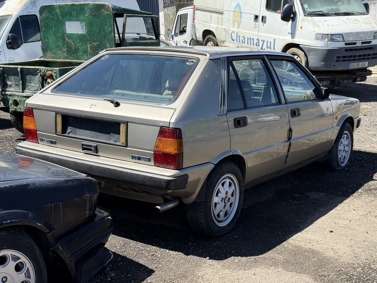 IMG_1875 – grande.jpeg