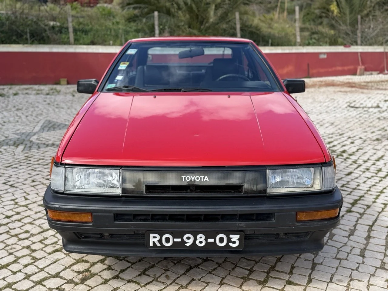 IMG_2291 – grande.jpeg