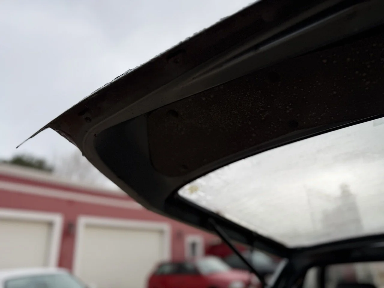 IMG_0608 – grande.jpeg