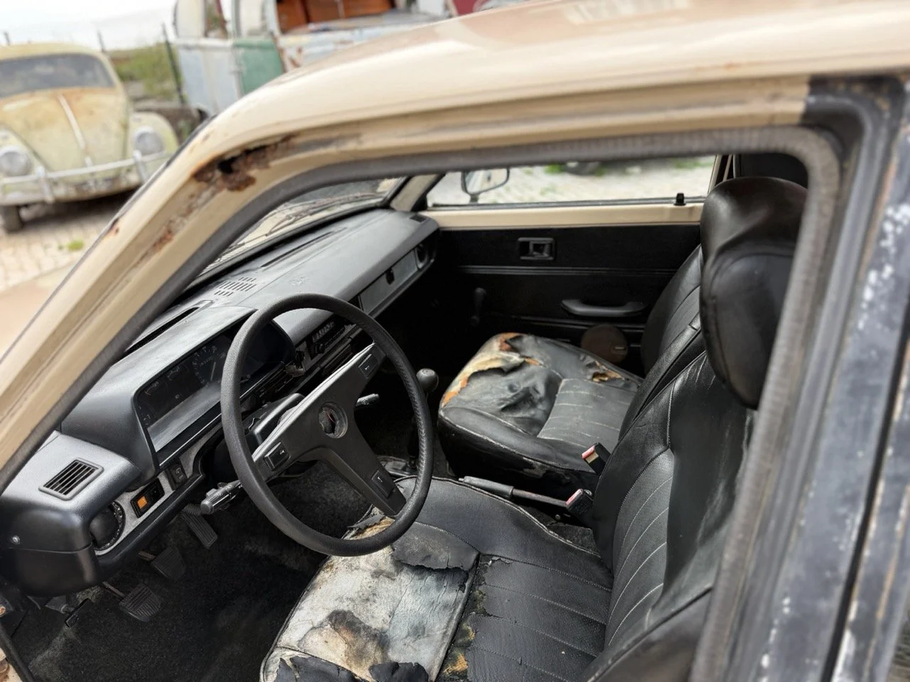 IMG_8691 – grande.jpeg