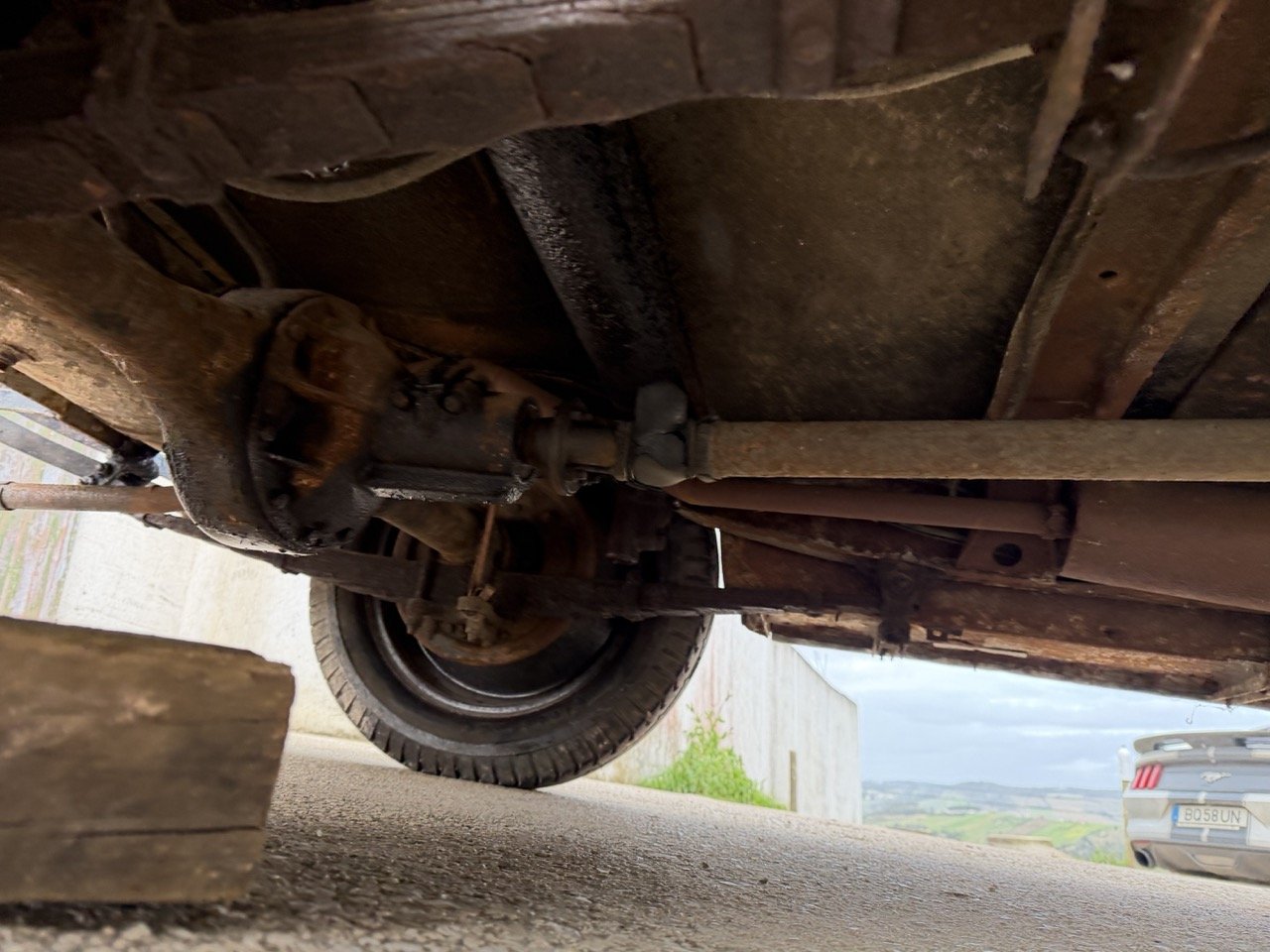 IMG_1655 – grande.jpeg