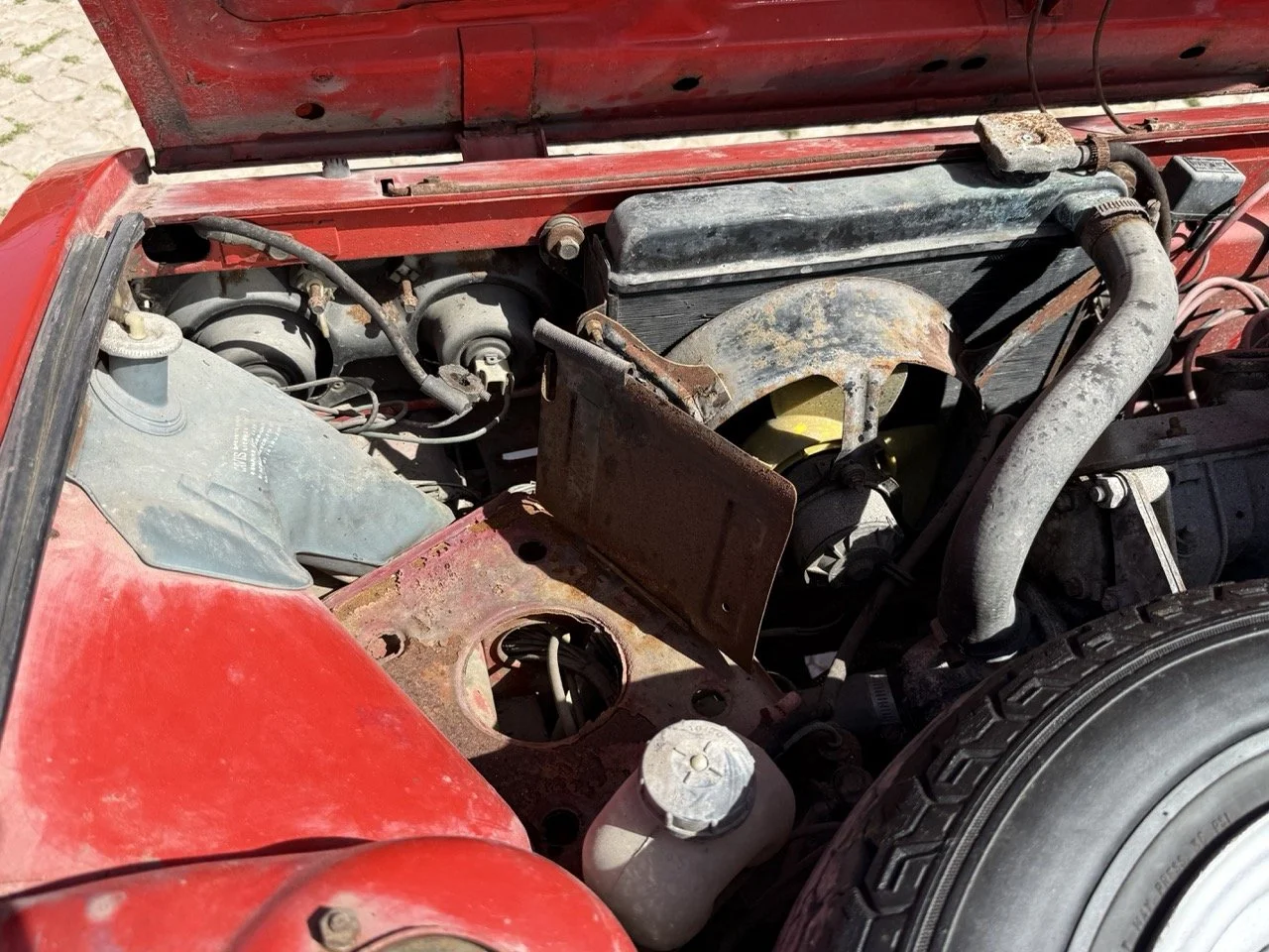 IMG_2289 – grande.jpeg