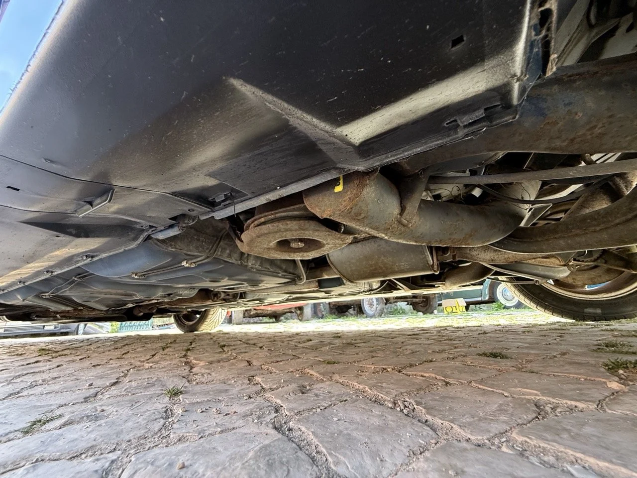 IMG_2501 – grande.jpeg