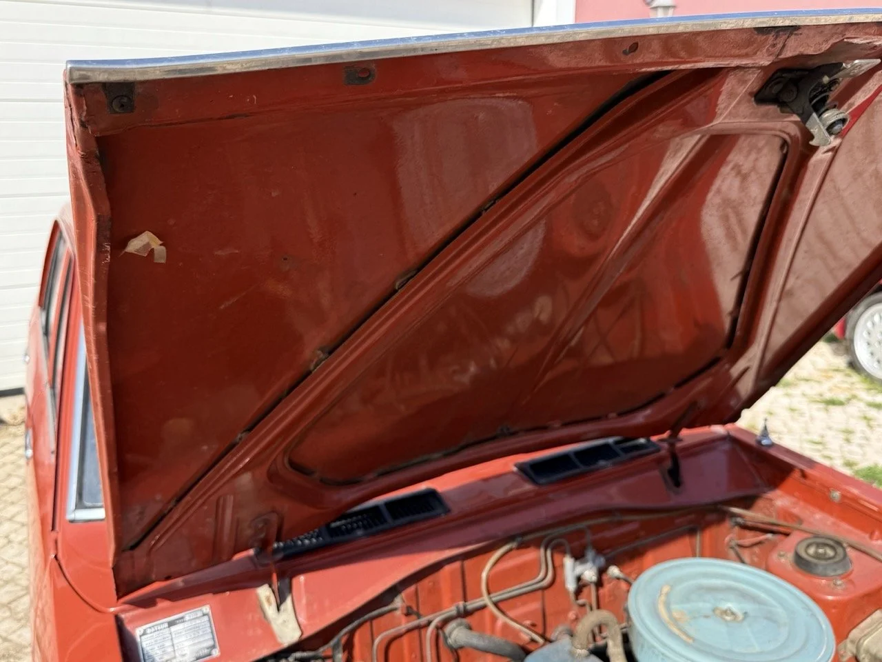 IMG_3619 – grande.jpeg