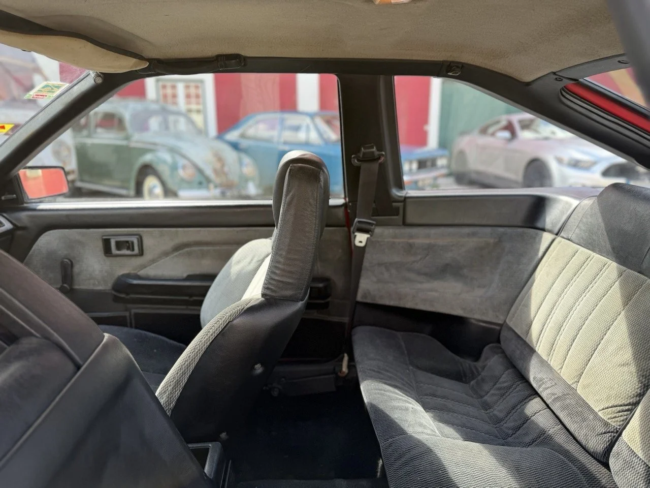 IMG_2317 – grande.jpeg