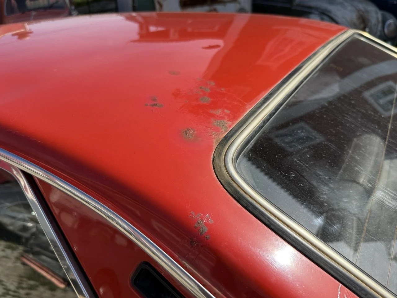 IMG_2352 – grande.jpeg