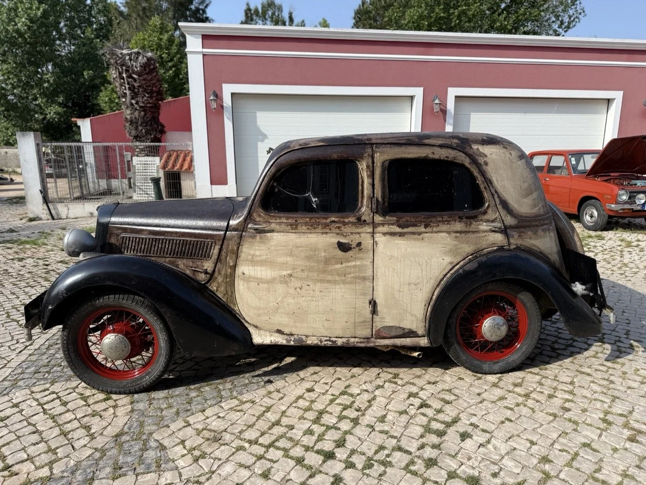 IMG_3676 – grande.jpeg