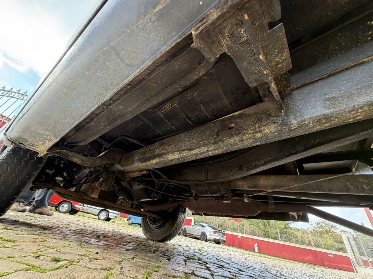 IMG_8143 – grande.jpeg