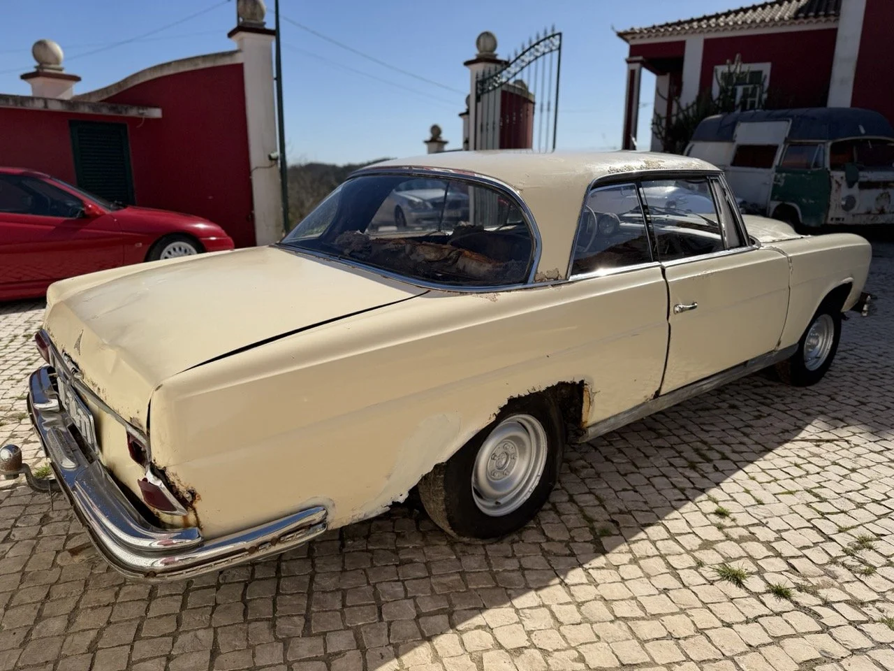 IMG_7006 – grande.jpeg