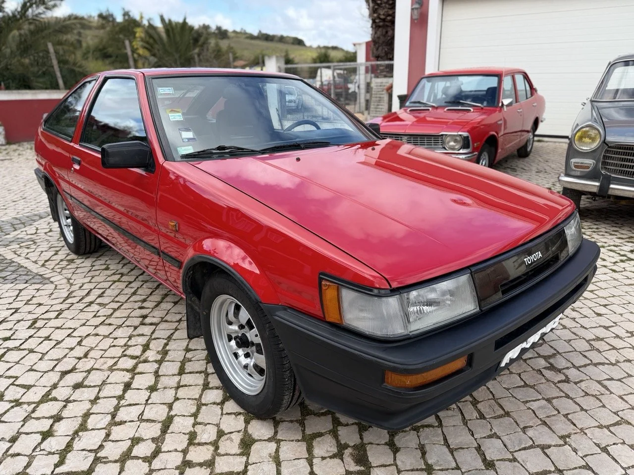 IMG_2412 – grande.jpeg