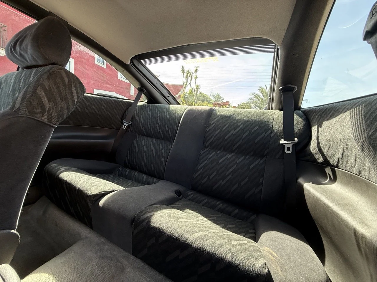 IMG_2489 – grande.jpeg