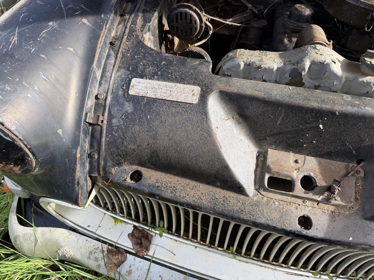 IMG_5092 – grande.jpeg