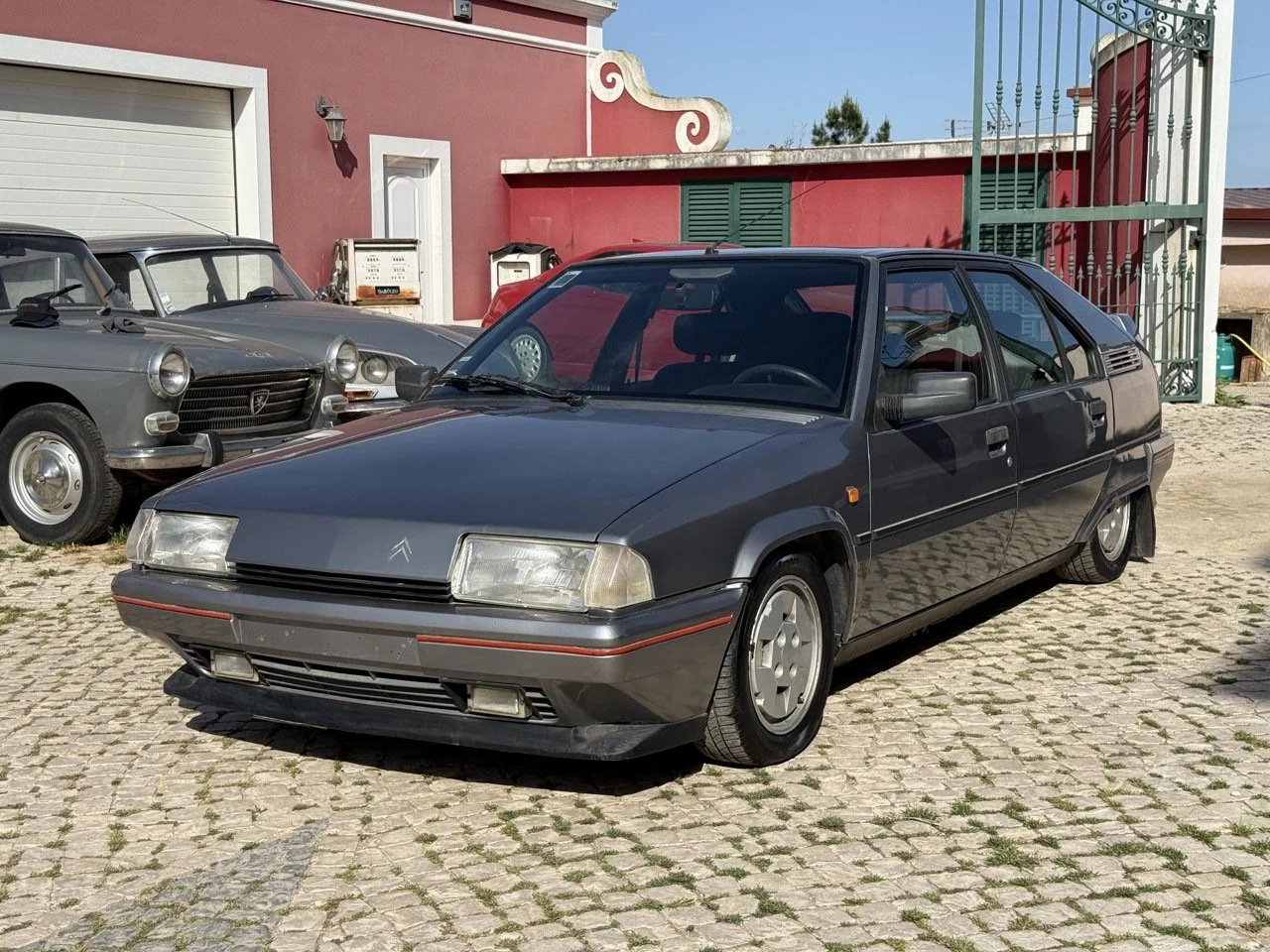 IMG_2520 – grande.jpeg