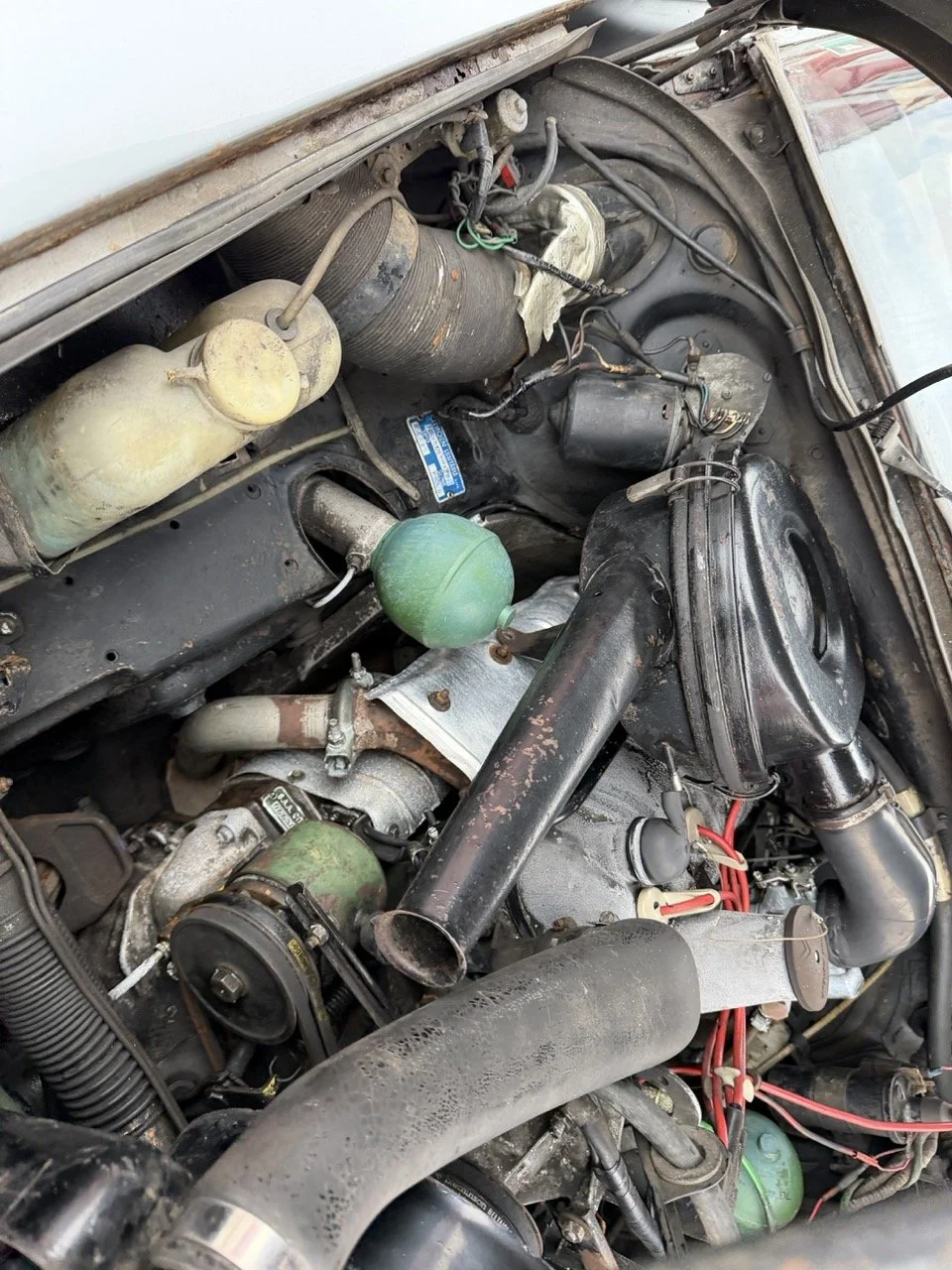 IMG_3747 – grande.jpeg