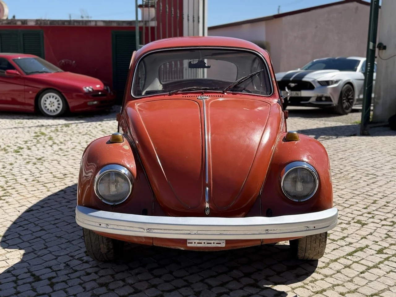 IMG_7508 – grande.jpeg