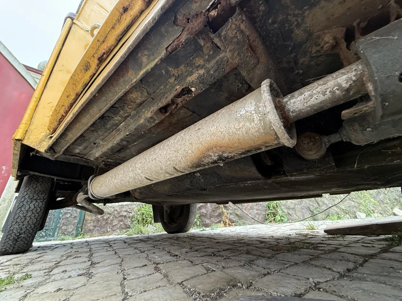 IMG_3810 – grande.jpeg