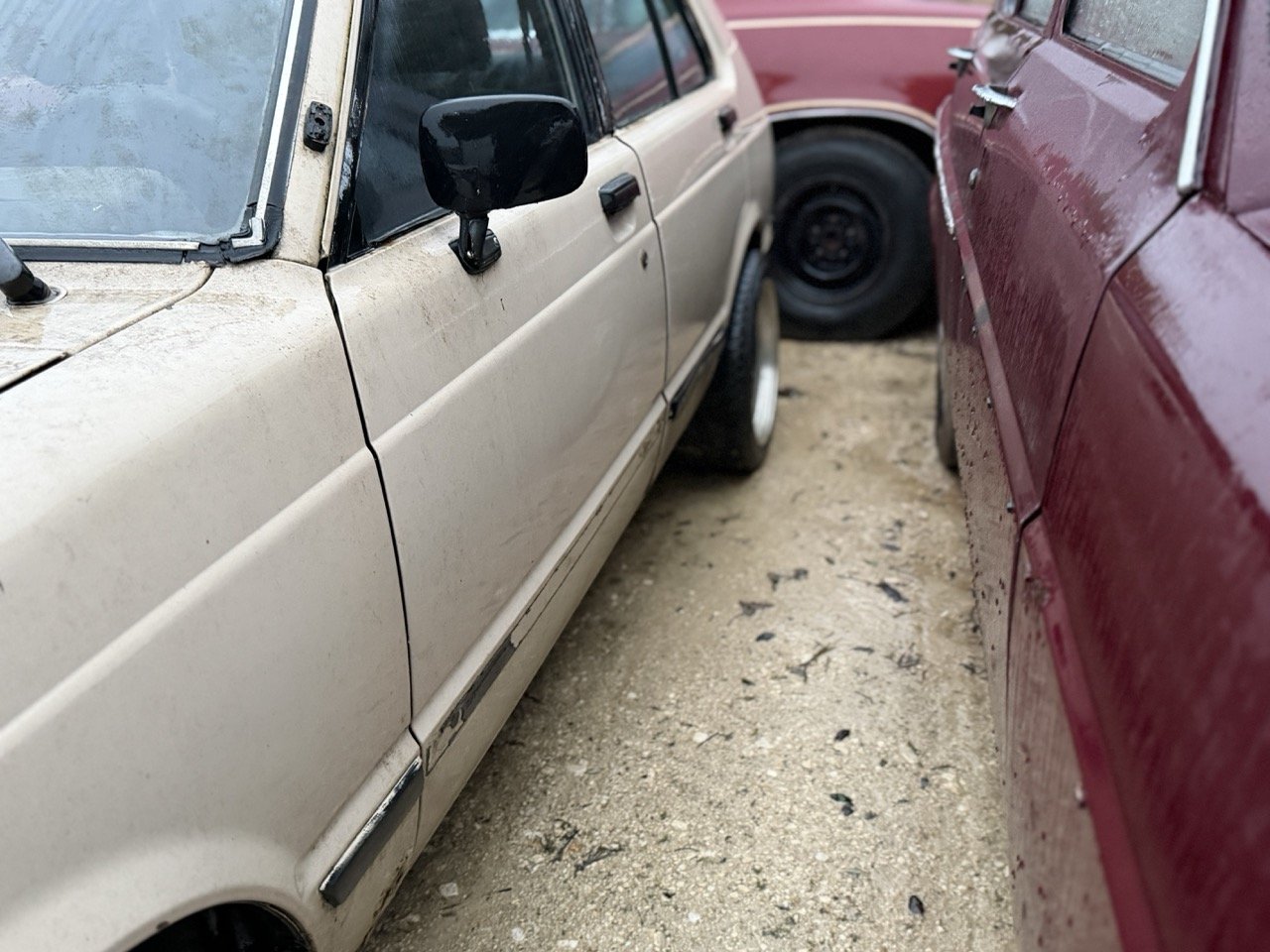 IMG_0192 – grande.jpeg