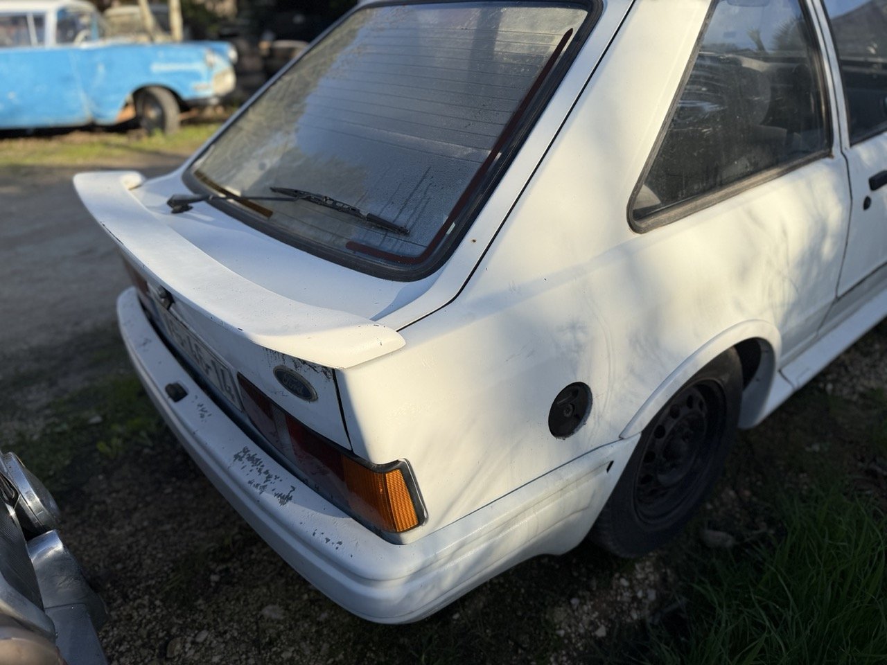 IMG_4092 – grande.jpeg