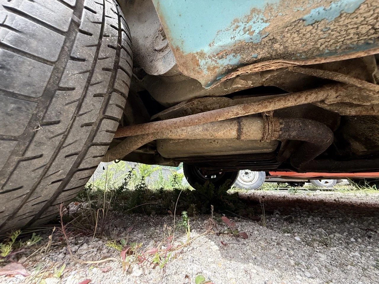 IMG_1568 – grande.jpeg