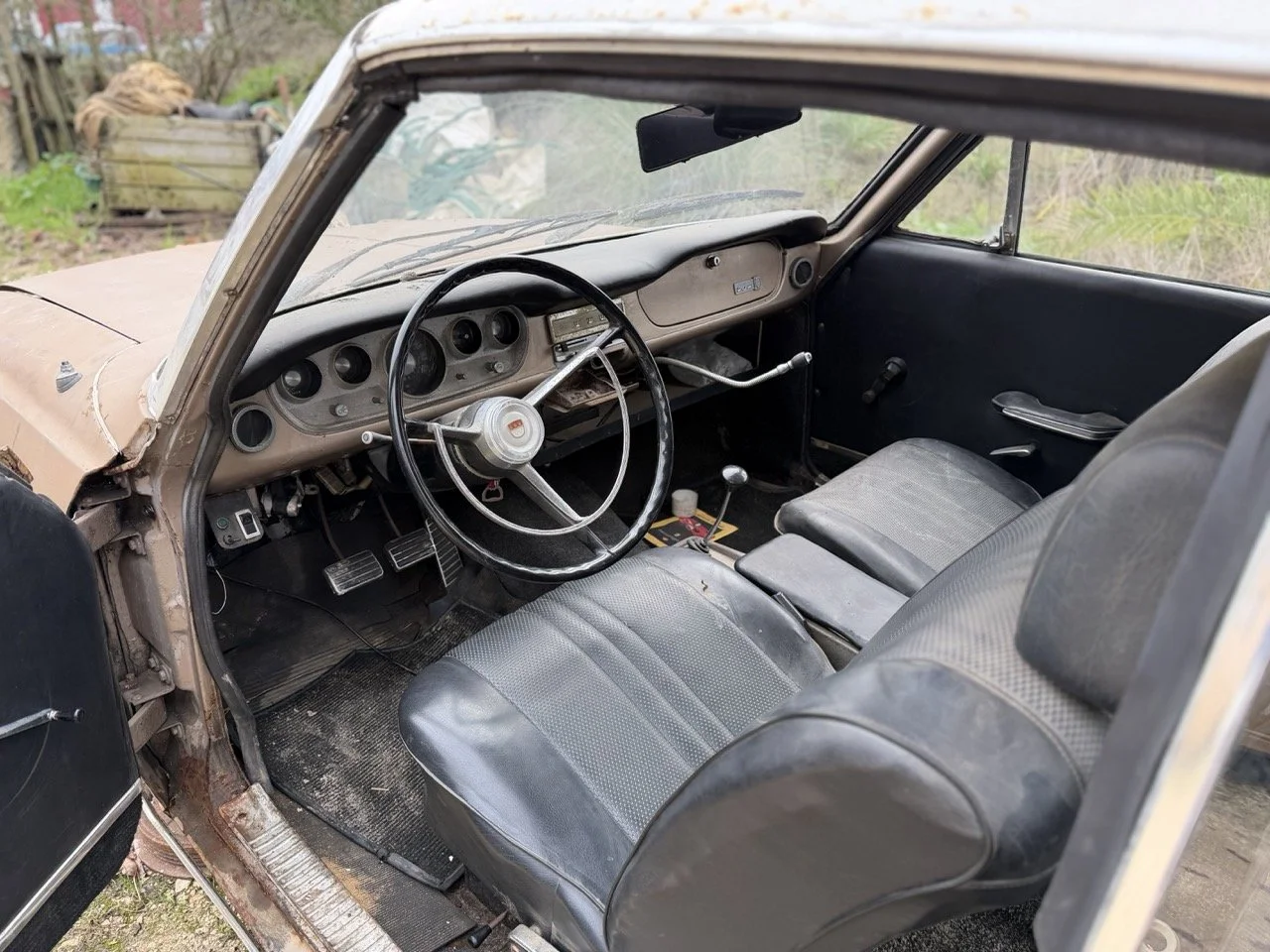 IMG_4910 – grande.jpeg