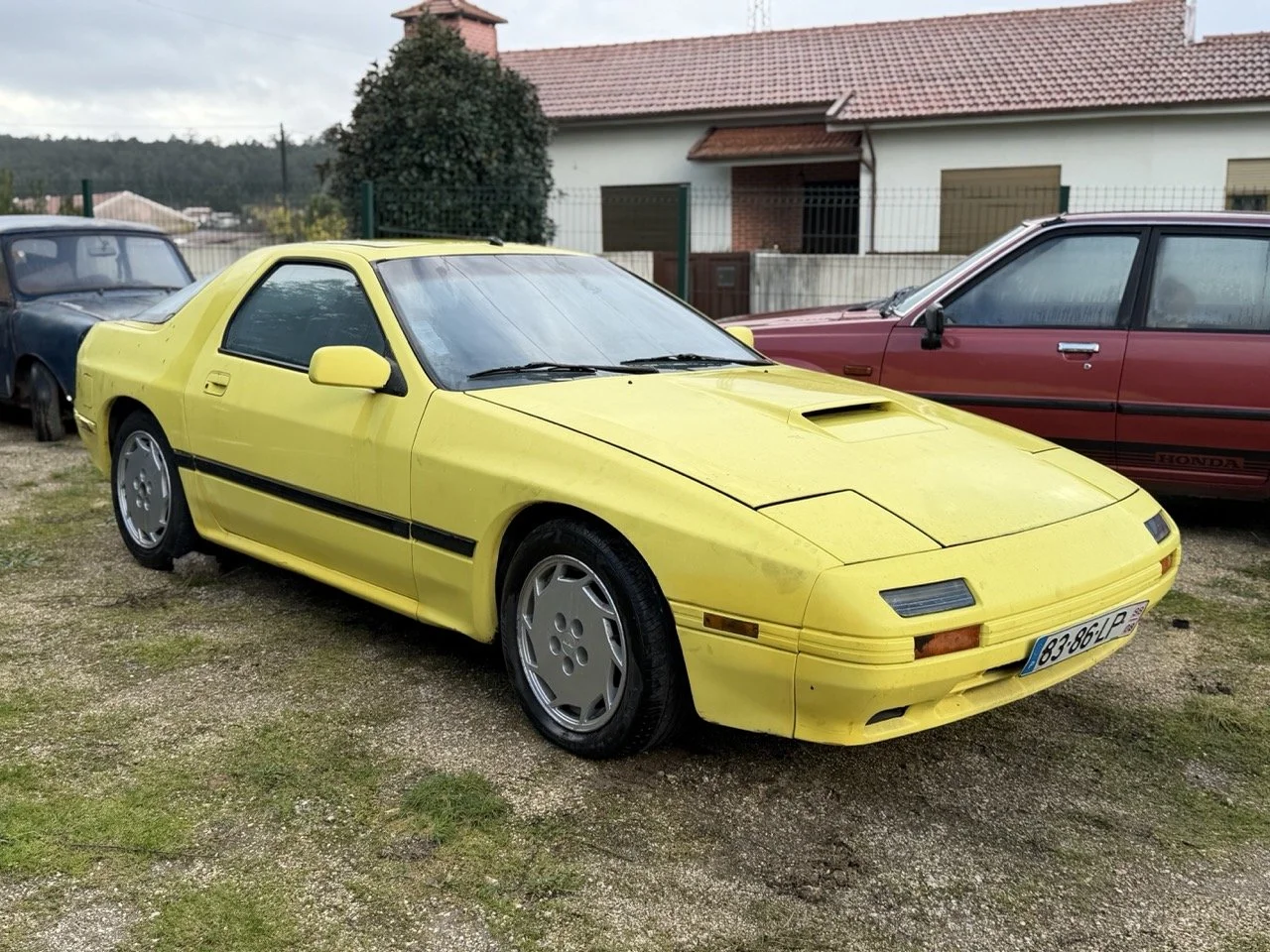 IMG_5204 – grande.jpeg