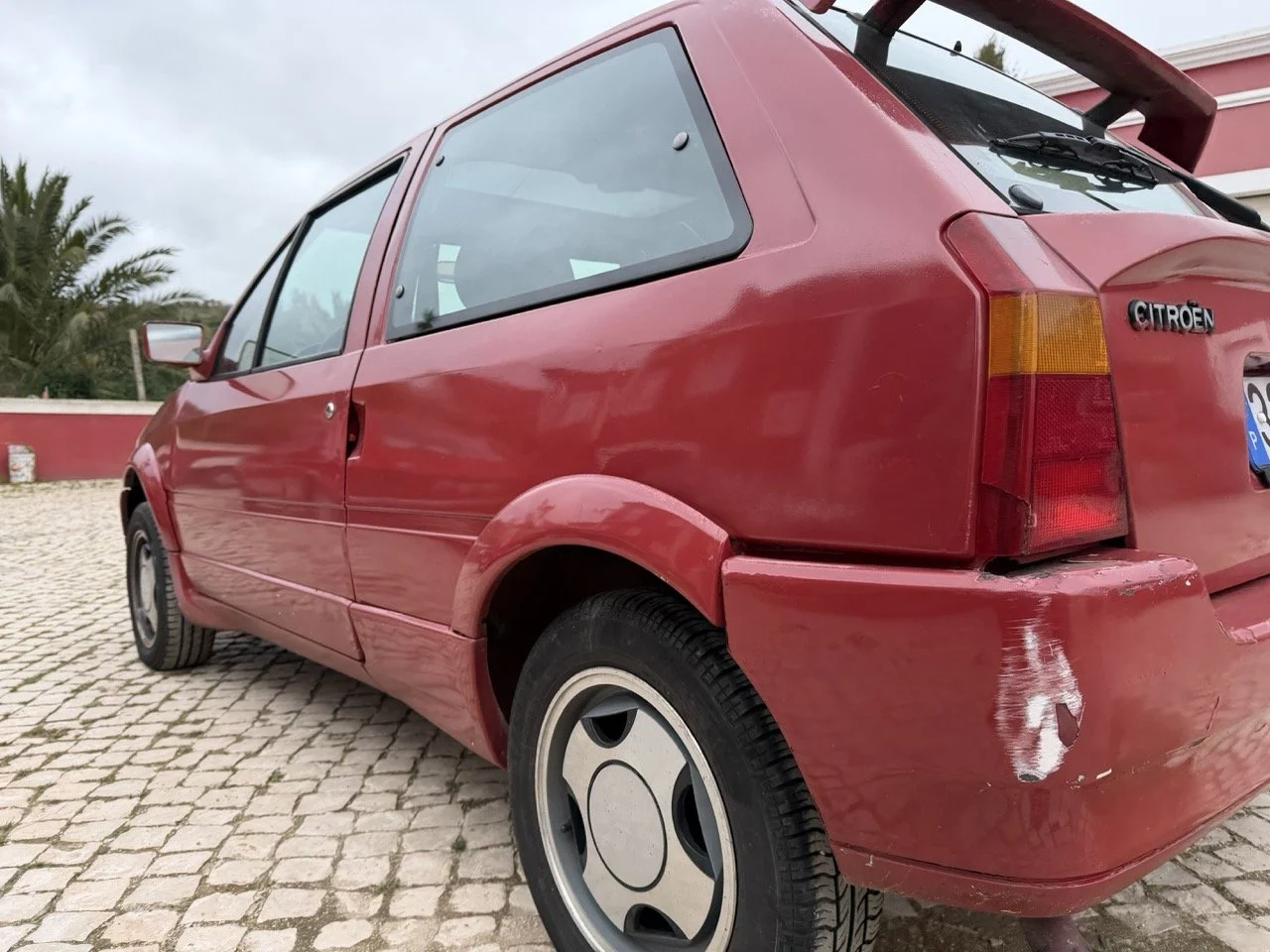 IMG_3646 – grande.jpeg