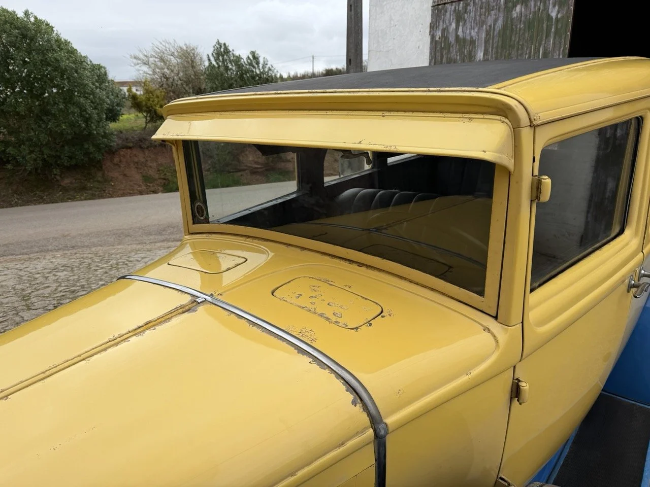 IMG_1576 – grande.jpeg