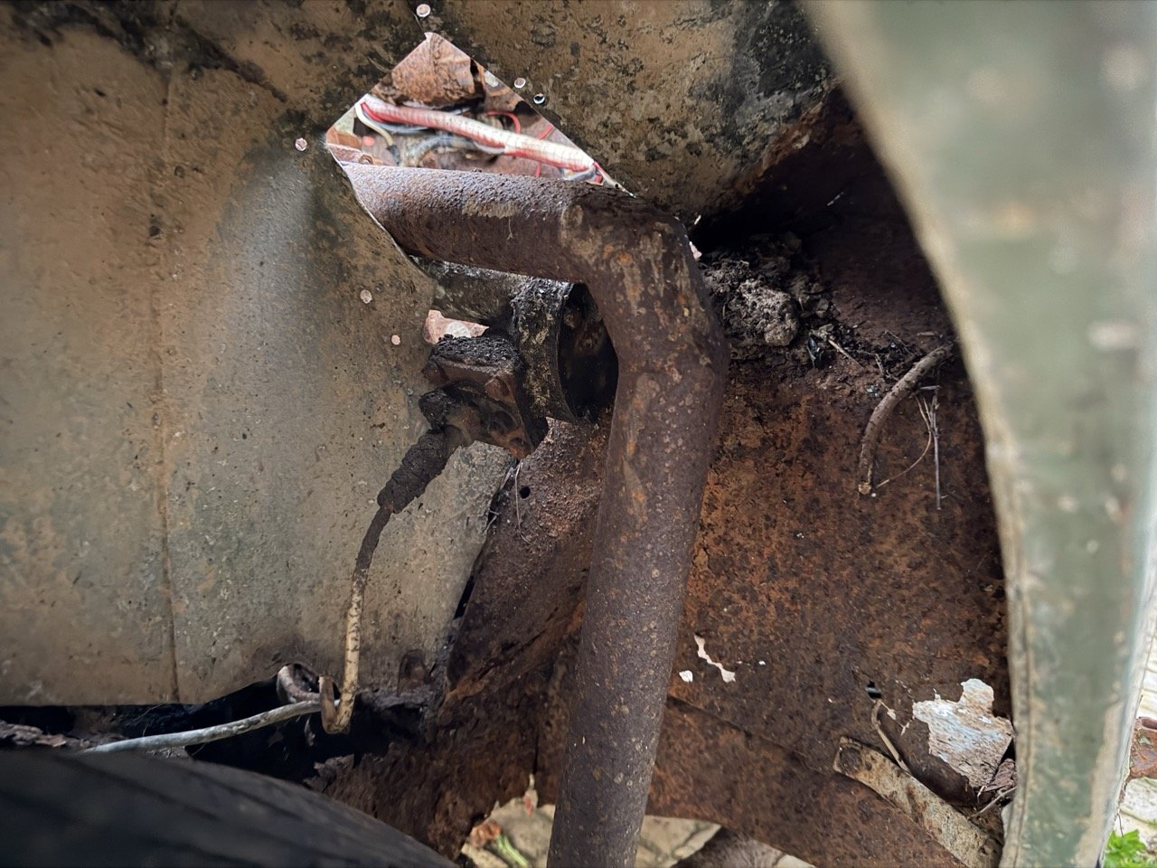 IMG_7480 – grande.jpeg