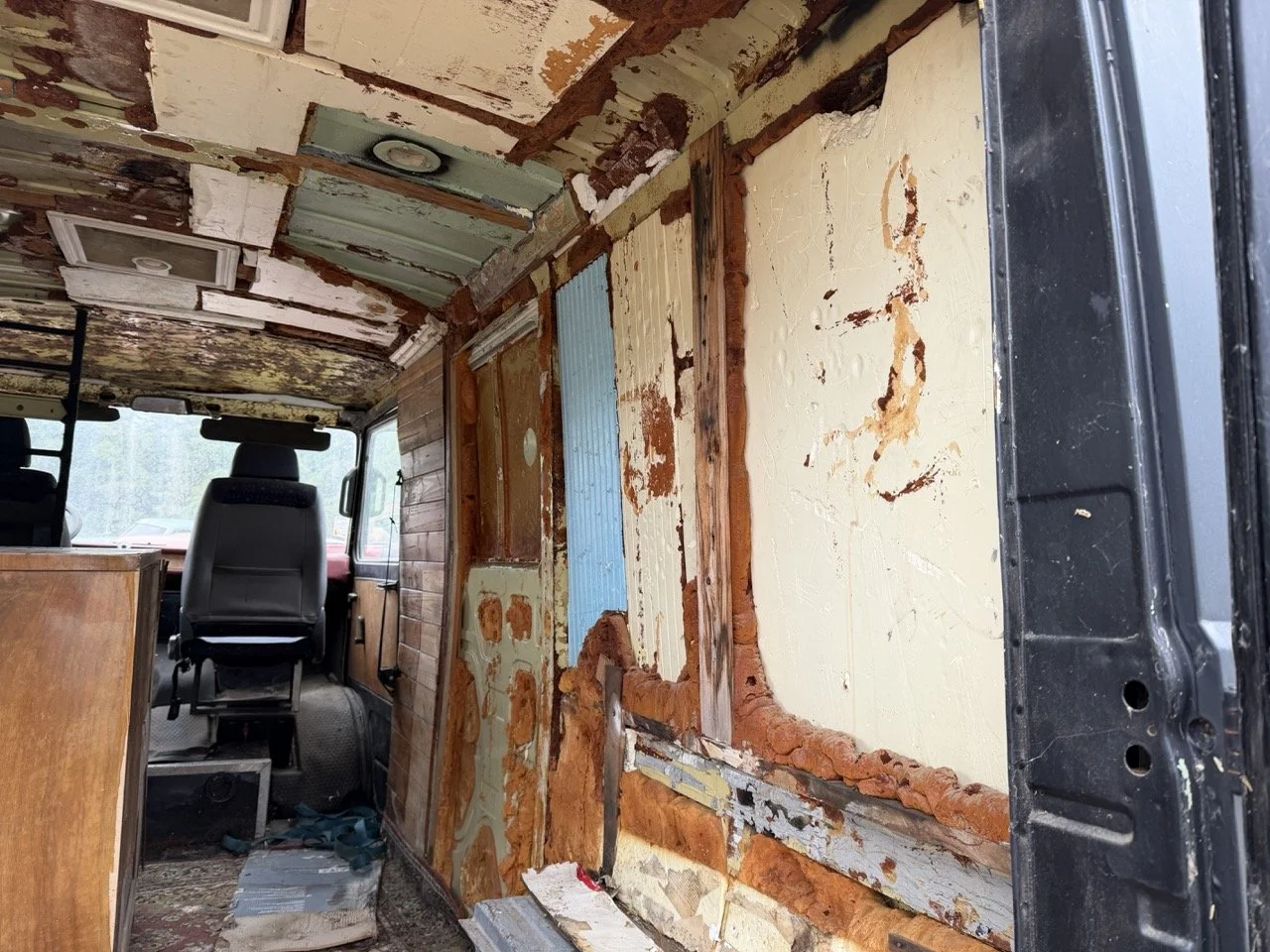 IMG_1331 – grande.jpeg