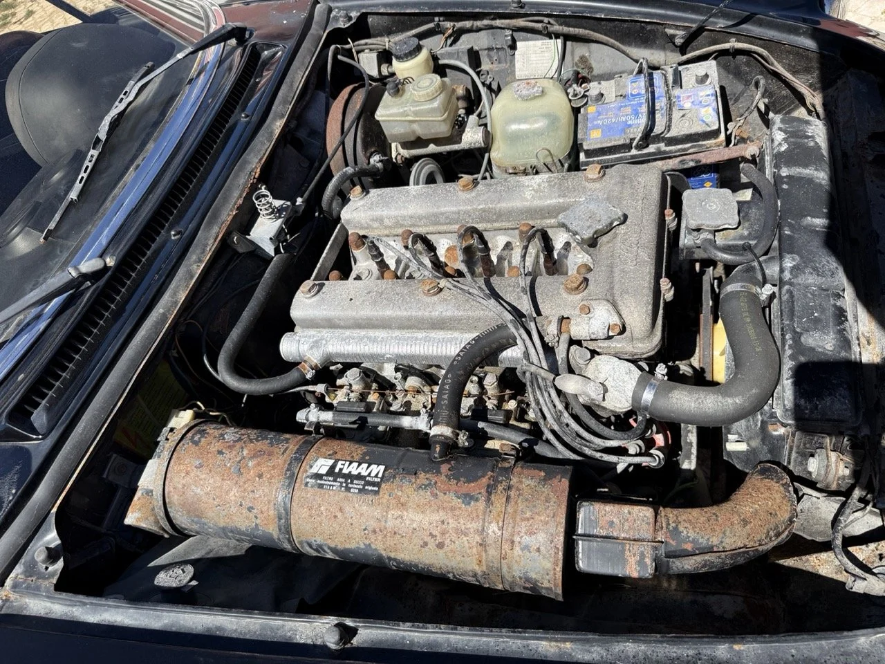 IMG_2154 – grande.jpeg