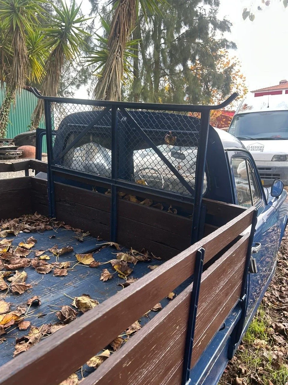 57918fd9-a87f-4334-9258-e3fffd96623f – grande.jpeg