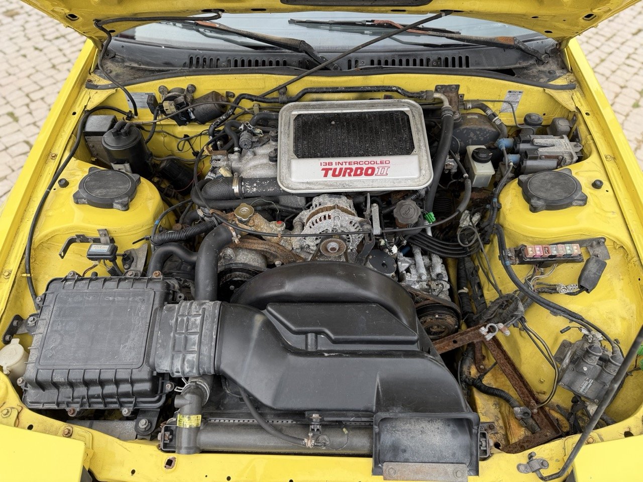 IMG_9743 – grande.jpeg